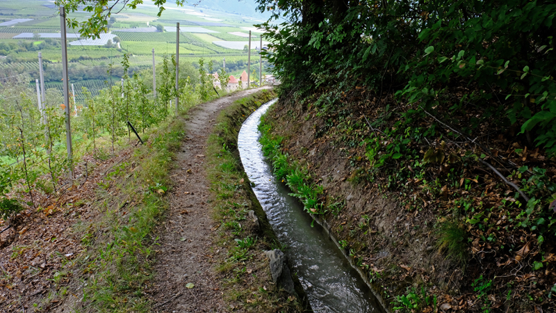 2017-09-11_153030 trentino-suedtirol-2017.jpg - Latschanderwaalweg oberhalb Kastelbell